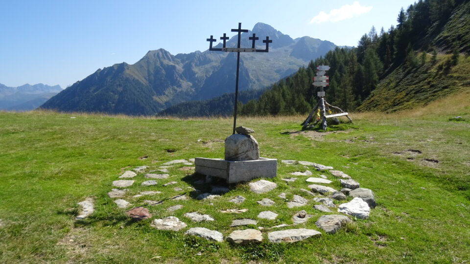 cima socede